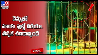 Black Magic: అమ్మో..! ఇవేం క్షుద్రపూజలు.. ముగ్గు వేసి.. ఏకంగా మనిషి పుర్రెను పెట్టి.. వీడియో.