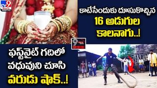 Viral Video: కొవ్వెక్కిన కోడి చికెన్ షాప్ ఎక్కి కూసినట్టుంది.. ఈగద్ద యవ్వారం.. సీన్ చూస్తే మామూలుగా ఉండదు మరి..