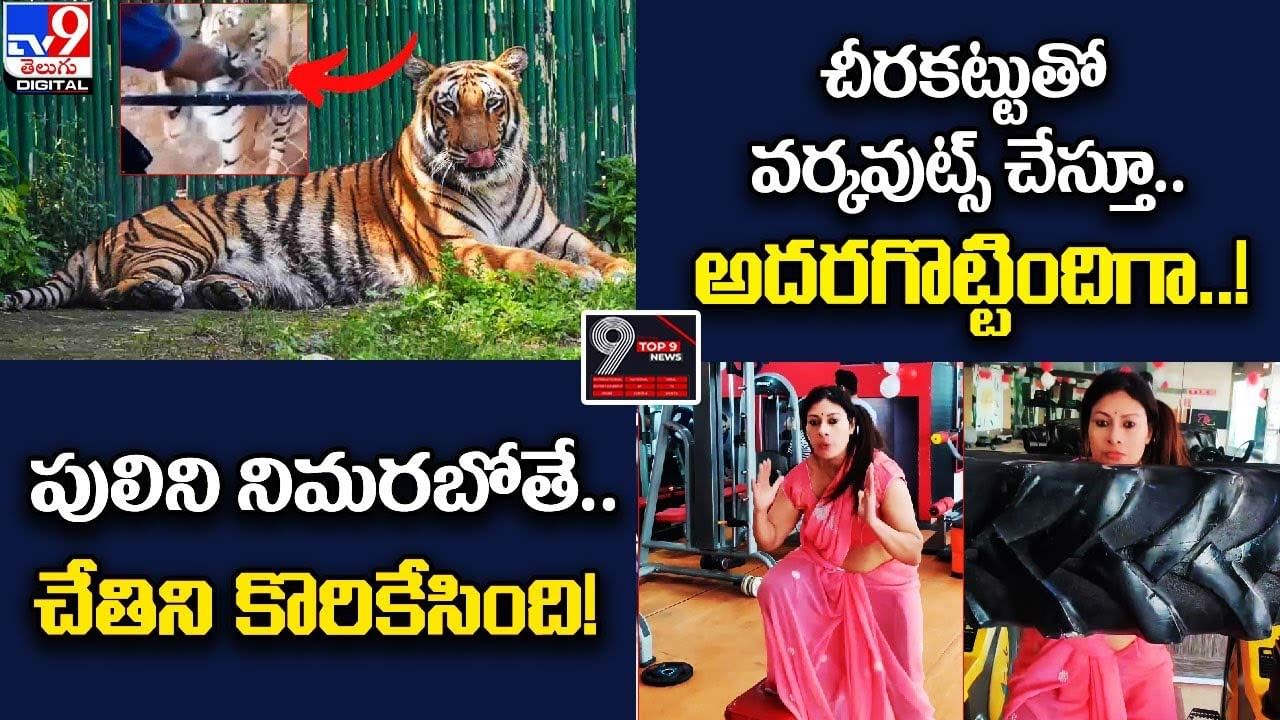 Digital TOP 9 NEWS: పులిని నిమరబోతే. చేతిని కొరికేసింది|చీరకట్టుతో వర్కవుట్స్‌ చేస్తూ.. అదరగొట్టిందిగా