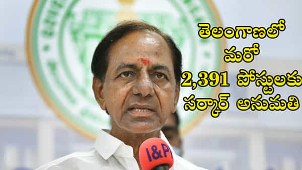 TS Govt Jobs: తెలంగాణలో మరో 2,391 పోస్టుల భర్తీకి సర్కార్ గ్రీన్ సిగ్నల్.. ఏయే శాఖల్లో ఏయే పోస్టులున్నాయంటే..