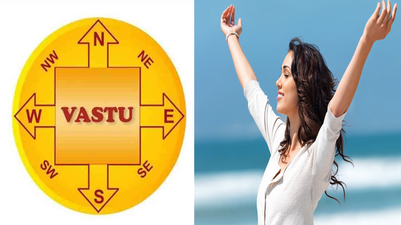 Vastu Tips: ఈ వాస్తు చిట్కాలు పాటిస్తే అనారోగ్యం మీ ఇంటి కాంపౌండ్‌లోకి రాదు.. చాలా సింపుల్‌ టిప్స్‌.