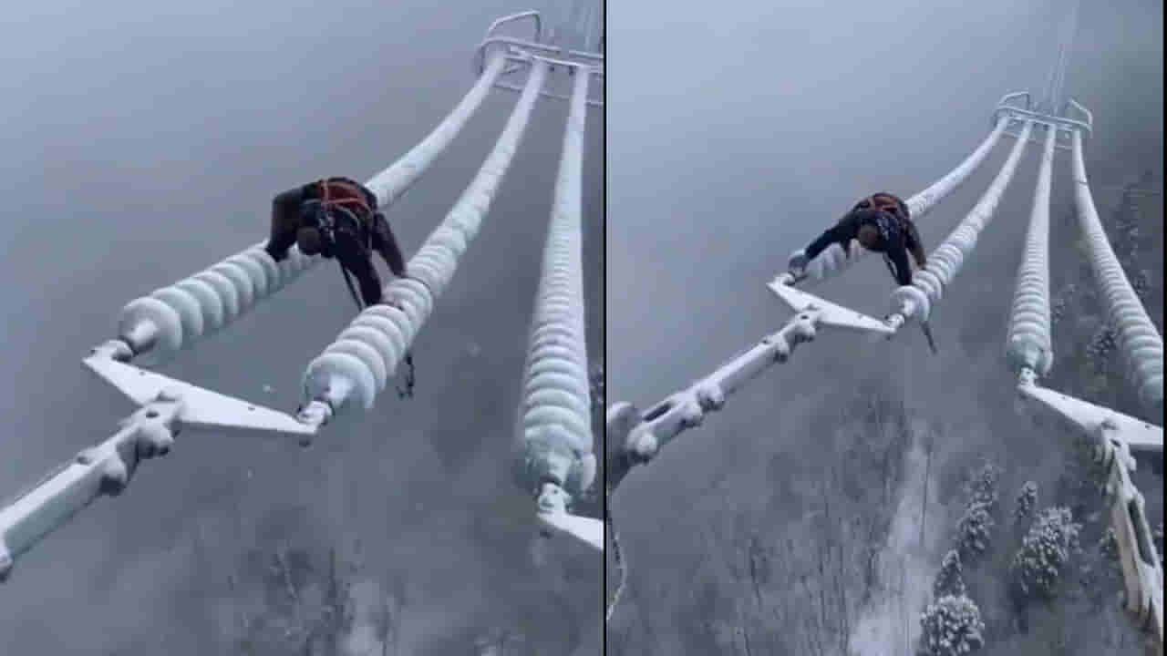 Viral Video: ప్రపంచంలోనే అత్యంత భయంకరమైన ఉద్యోగం ఇదే.. ఈ వీడియో చూస్తే మీరూ ఇదే అంటారు.