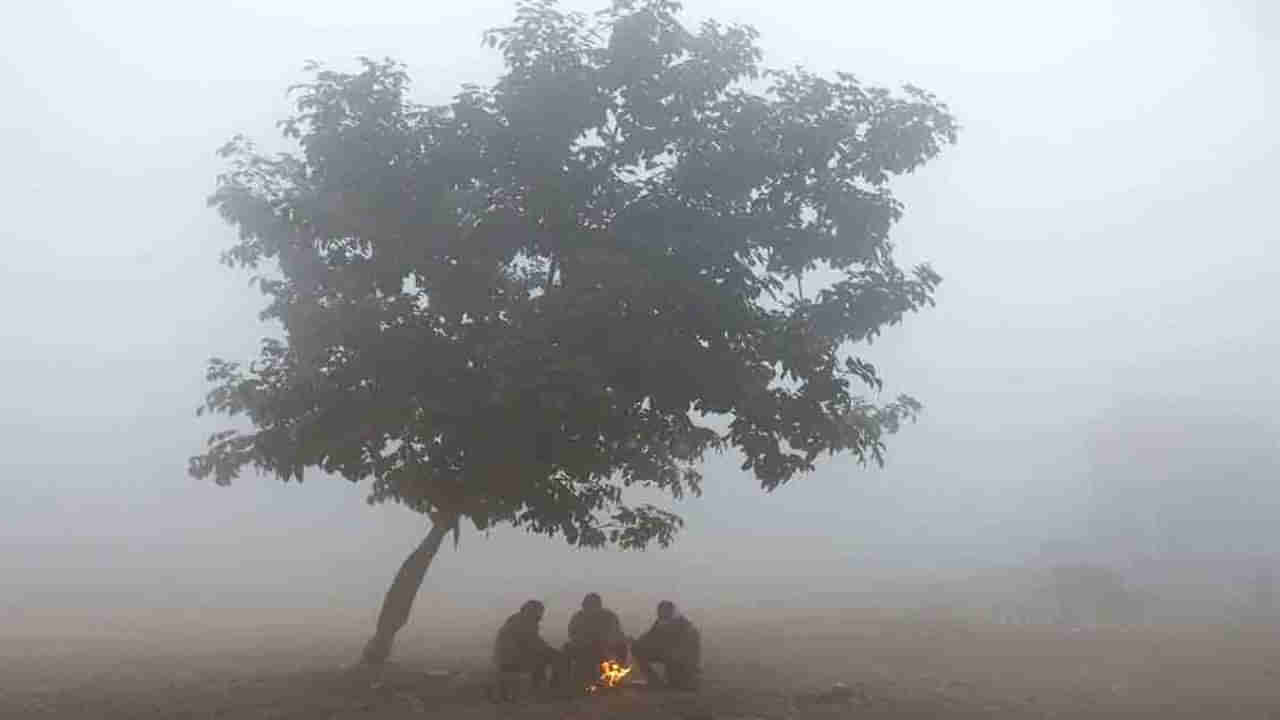 Weather Forecast: అలర్ట్.. బాబోయ్ ఇదేం చలిరా అయ్యా.. మరో రెండు రోజులు చుక్కలేనట.. ఈ జాగ్రత్తలు తప్పనిసరి..