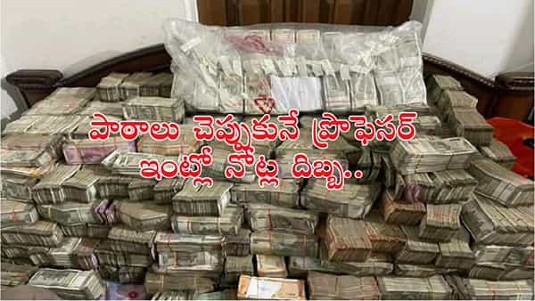 ప్రొఫెసర్ ఇంటిపై అర్ధరాత్రి దాడి చేసిన పోలీసుల.. కుప్పలుతెప్పలుగా నోట్ల కట్టలు చూసి ఖంగుతిన్న ఖాఖీలు