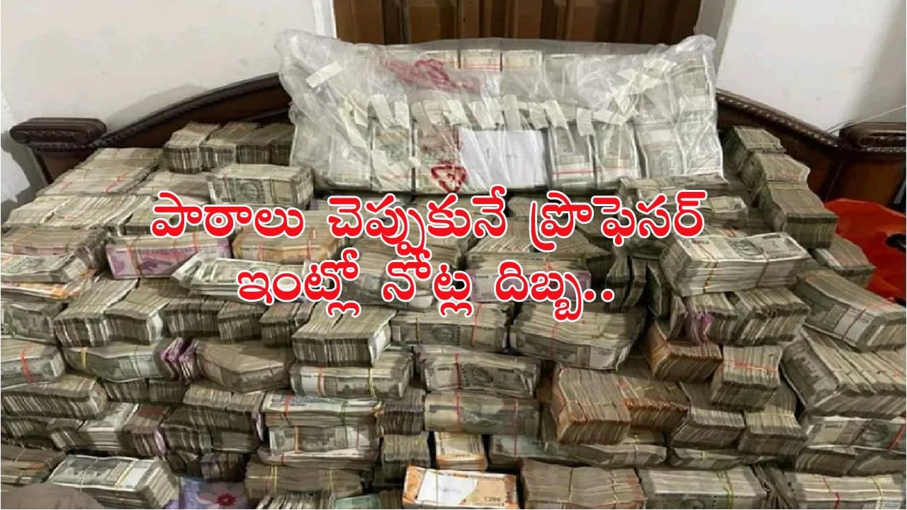 ప్రొఫెసర్‌ ఇంటిపై అర్ధరాత్రి దాడి చేసిన పోలీసుల.. కుప్పలుతెప్పలుగా నోట్ల కట్టలు చూసి ఖంగుతిన్న ఖాఖీలు