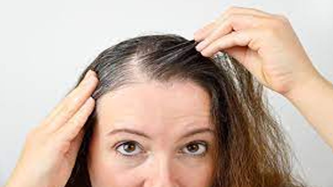 Hair Growth Tips: డైలీ జుట్టు రాలిపోతుందా..? ఈ ఫుడ్ తీసుకుంటే వత్తయిన జుట్టు మీ సొంతం