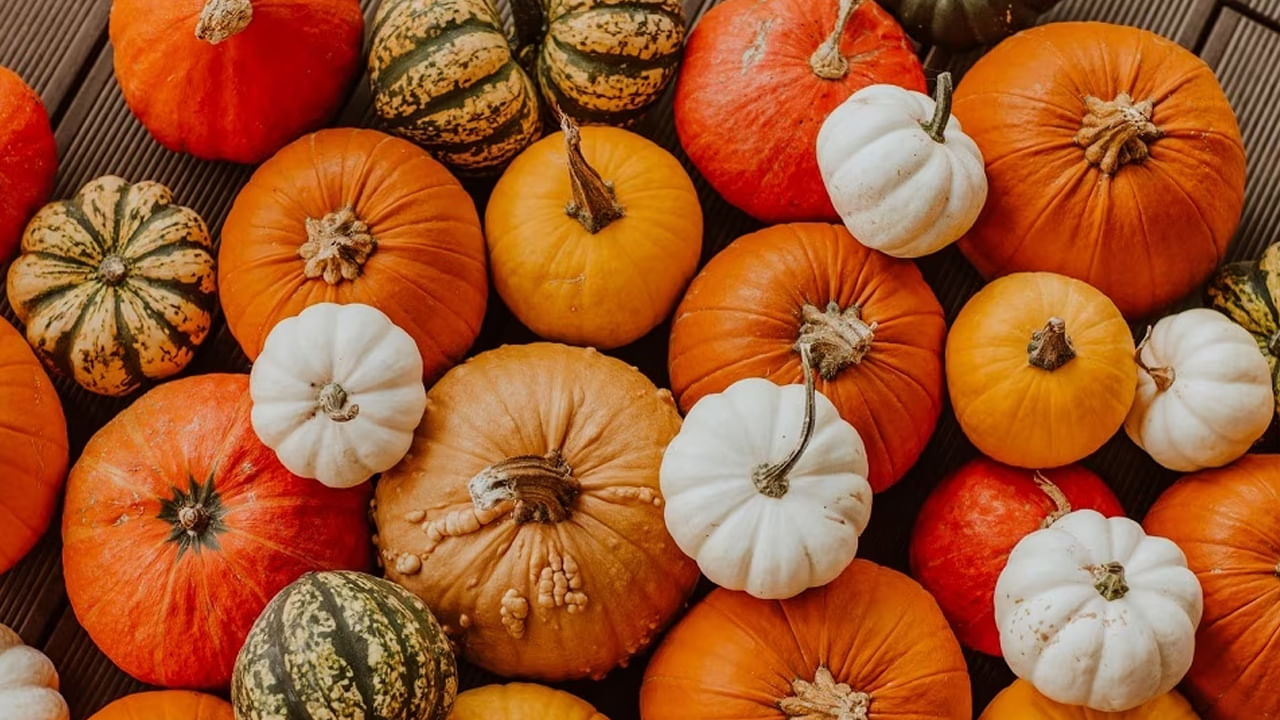White Pumpkin Benefits: తెల్ల గుమ్మడికాయతో ఎన్ని ఆరోగ్య ప్రయోజనాలో తెలుసా..?