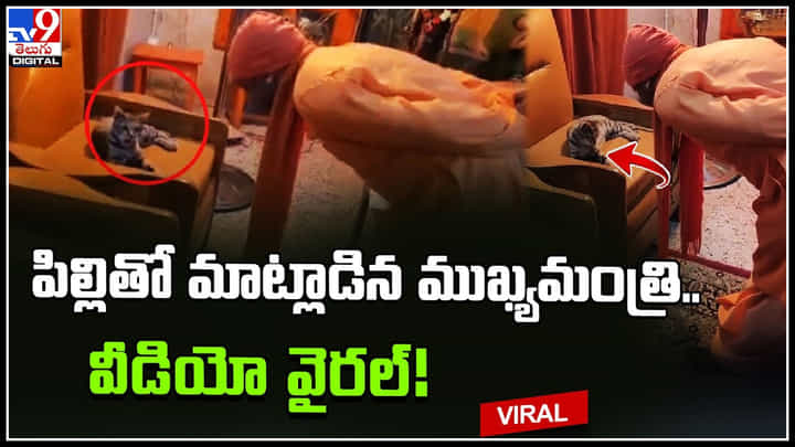 Yogi Adityanath: పిల్లితో మాట్లాడిన ముఖ్యమంత్రి.. సోఫాలో కూర్చున్న పిల్లితో యోగి సరదా ముచ్చట.. వైరల్ వీడియో Yogi Adityanath: పిల్లితో మాట్లాడిన ముఖ్యమంత్రి.. సోఫాలో కూర్చున్న పిల్లితో యోగి సరదా ముచ్చట.. వైరల్ వీడియో