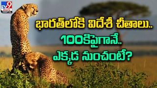 సోషల్‌ మీడియా రీల్స్‌ కోసం లగ్జరీ కార్లు, బైక్‌లతో ఓవరాక్షన్‌.. అంతలోనే సీన్ రివర్స్ !!