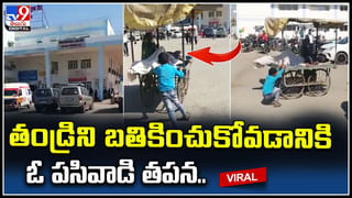 Funny Video: పెళ్ళిలో తలంబ్రాలు పోసుకుంటుండగా.. కోతి బావ ఎంత పని చేసావ్.. ఫన్నీ వీడియో.