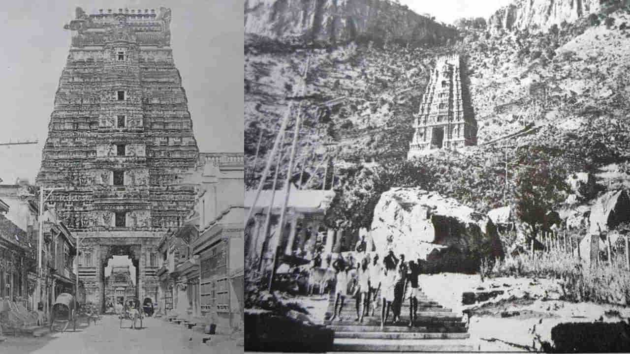 Tirupati City: ఈ నెల 24న 893వ పుట్టిన రోజుని జరుపుకోనున్న తిరుపతి నగరం.. భారీగా ఏర్పాట్లు