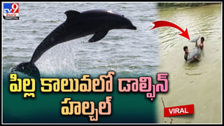 ఆదాయపు పన్ను శాఖలో పనిచేస్తున్నానంటూ లేడీస్‌ హాస్టల్‌లో దూరిన కిలేడీ.. ఏం చేసిందో తెలుసా..?