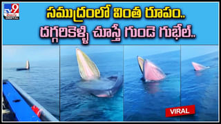 Digital TOP 9 NEWS: భార్యను చంపి నీళ్ల ట్యాంకులో పడేసి! | 20 ఏళ్ల నాటి చెట్టు..కడియం నుంచి