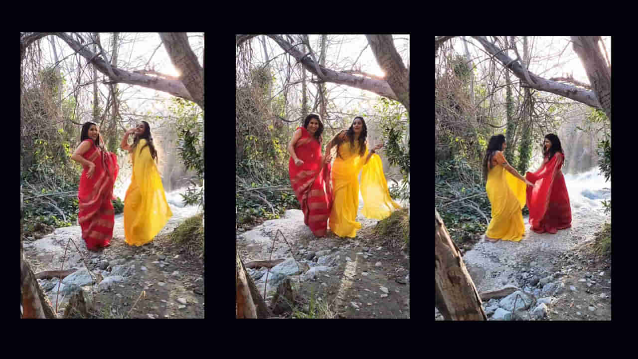 Laya: డ్యాన్స్తో అదరగొట్టిన లయ.. ఆ పాటలో అచ్చం మెగాస్టార్ని దించేసిందిగా.. Watch Video