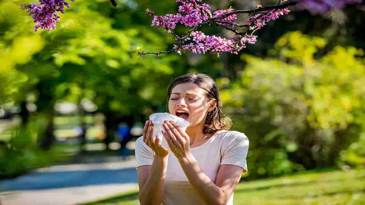 Pollen allergy: అది మీ శరీరంలోని జొరబడిందా అంతే సంగతులు! ఈ సీజన్‪లో జాగ్రత్తగా ఉండకపోతే చాలా కష్టం..