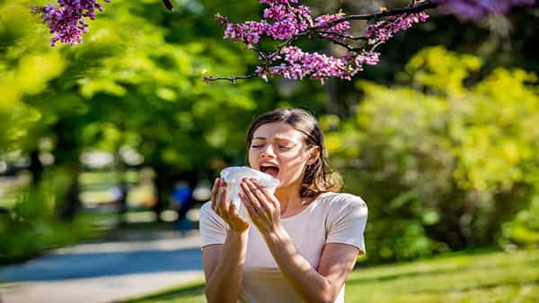 Pollen allergy: అది మీ శరీరంలోని జొరబడిందా అంతే సంగతులు! ఈ సీజన్లో జాగ్రత్తగా ఉండకపోతే చాలా కష్టం..
