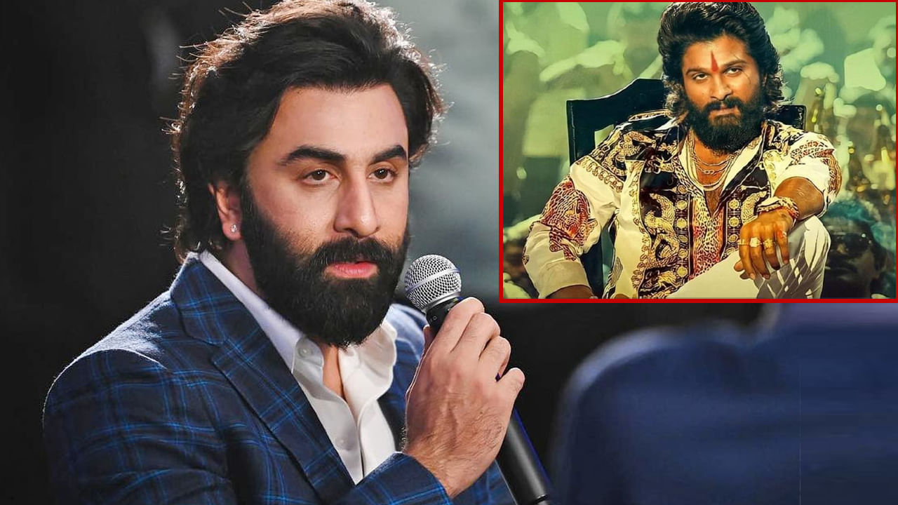 Ranbir Kapoor: పుష్ప మూవీపై రణబీర్ కపూర్ ఆసక్తికర వ్యాఖ్యలు.. అల్లు అర్జున్ పాత్ర పై ఇంట్రెస్టింగ్ కామెంట్స్..