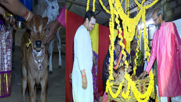 Naming Ceremony: ఆవు దూడకు బారసాల చేసిన దంపతులు.. విష్ణు అని నామకరణం.. దేశీయ గోవులను రక్షించాలని పిలుపు