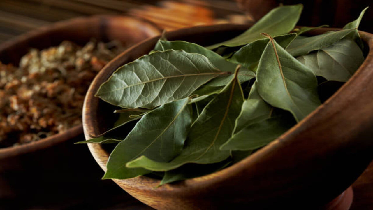 Bay Leaves Benefits బిర్యానీ ఆకులతో బోలెడు ఆరోగ్య ప్రయోజనాలు