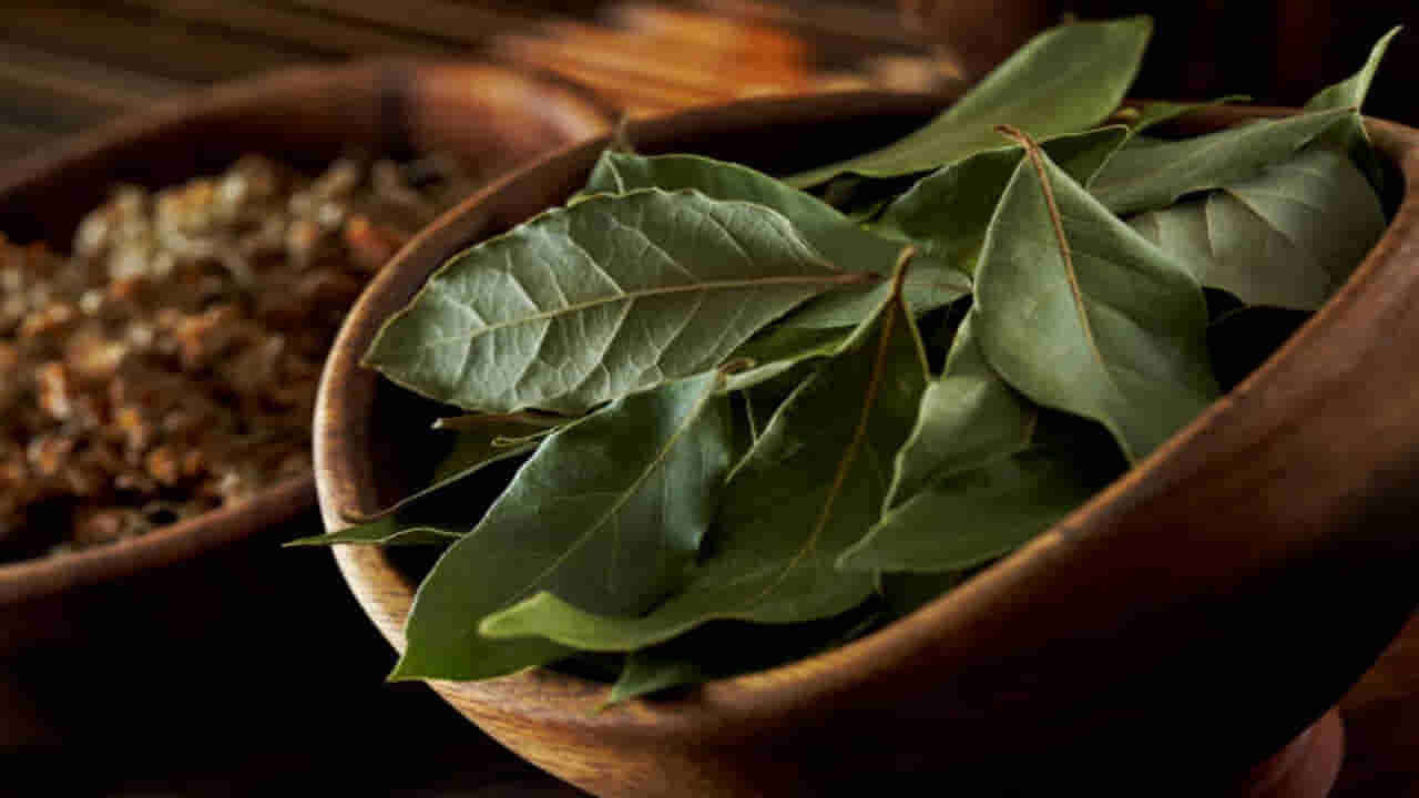 Bay Leaves Benefits: బిర్యానీ ఆకులతో బోలెడు ఆరోగ్య ప్రయోజనాలు..డయాబెటిస్ ఉన్నవారికి దివ్యౌషధం..!!