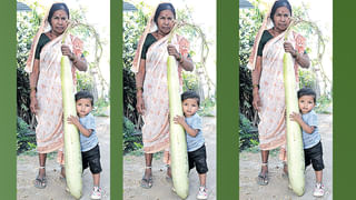 Vande Bharat: సికింద్రాబాద్‌ టు తిరుపతి వందే భారత్‌ ట్రైన్‌ ఏయే స్టేషన్లలో ఆగుతుంది.. ఎన్ని గంటల్లో చేరుతుంది