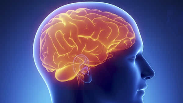 Brain Exercises: మెదడు చురుగ్గా ఉండాలంటే ఏం చేయాలి.. పరిశోధకులు ఏమంటున్నారు..?