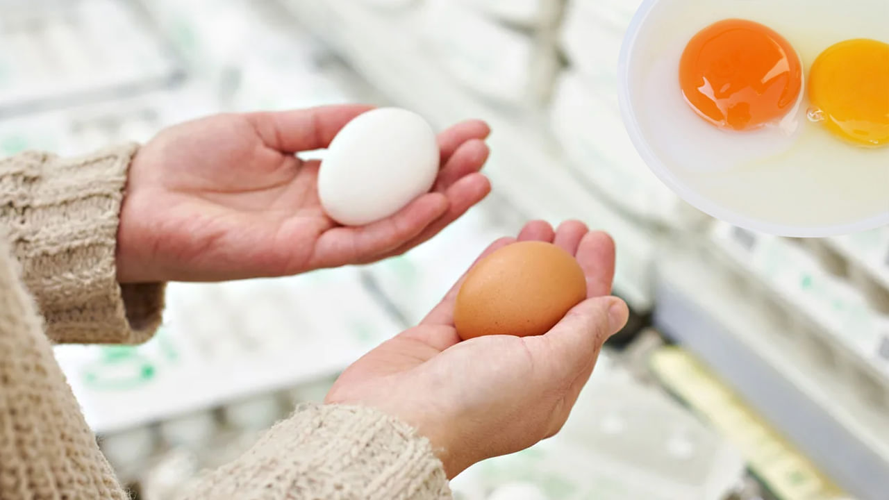 Brown vs White Eggs: బ్రౌన్ లేదా వైట్ గుడ్లు.. వీటిలో ఆరోగ్యానికి ఏది మంచిదో తెలుసా.. పరిశోదనలో బయటపడిన సంచలన విషయాలు..