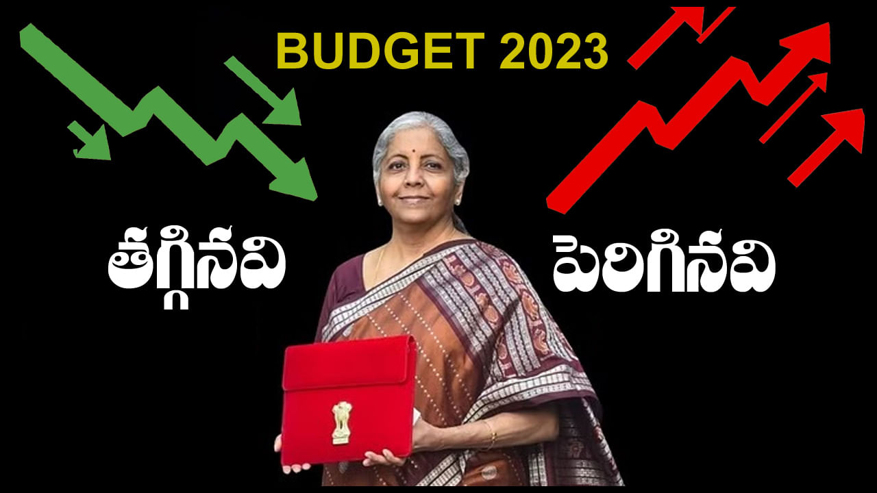 Budget 2023: బడ్జెట్ 2023తో మారనున్న ధరలు.. ఏది చౌక, ఏది ఖరీదైనది.. పూర్తి జాబితా మీకోసం..