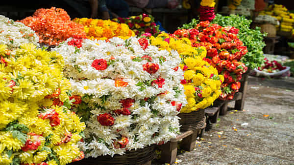 Business Ideas: ఈ వ్యాపారానికి ఎల్లప్పుడూ డిమాండ్... జీరో ఇన్వెస్ట్మెంట్ తో లక్షలు సంపాదించవచ్చు.!!
