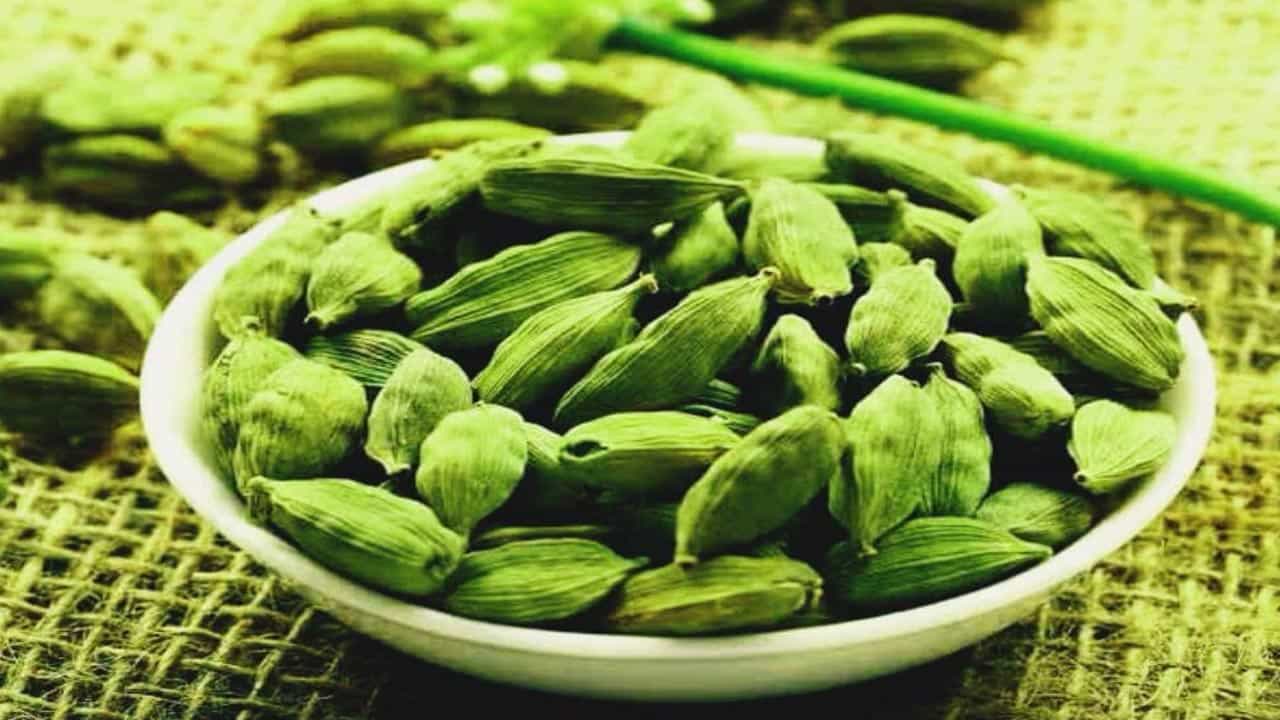 ఇవి భారత్తో పాటు భూటాన్, నేపాల్, ఇండొనేషియా దేశాల్లో కూడా దొరుకుతాయి. యాలకుల వల్ల కలిగే బెనిఫిట్స్ను ఇప్పుడు మనం తెలుసుకుందాం. కొన్ని వంటకాల్లో మసాలాల్లో, టీలో యాలకులను ఉపయోగిస్తుంటాం. సాధారణంగా మన వంటింట్లో ఉంటాయి. యాలకులు భారత్తో పాటు భూటాన్, నేపాల్, ఇండొనేషియా దేశాల్లో కూడా దొరుకుతాయి.