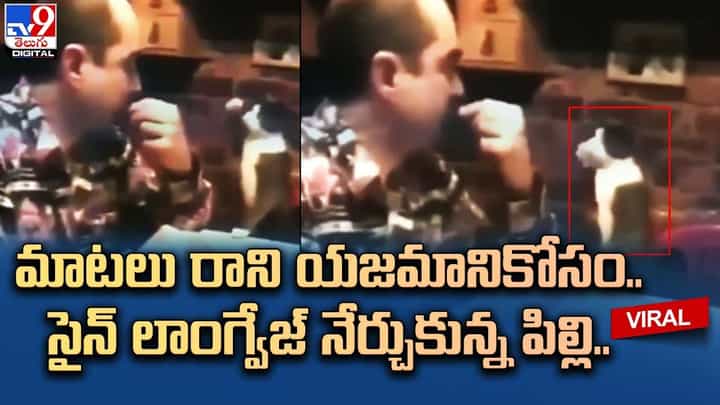 మాటలు రాని యజమానికోసం.. సైన్ లాంగ్వేజ్ నేర్చుకున్న పిల్లి మాటలు రాని యజమానికోసం.. సైన్ లాంగ్వేజ్ నేర్చుకున్న పిల్లి