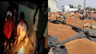 Watch Video: అందరికీ ఈమెలా అదృష్టం ఉండకపోవచ్చు.. వైరల్‌ అవుతోన్న సజ్జనార్ ట్వీట్‌.