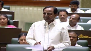 Telangana: ఓర్నీ.. ఈ సొరకాయ ఏంది.. సొర చేప అంత ఉంది..