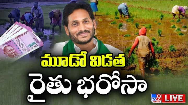 CM Jagan: 175 నియోజకవర్గాల్లో పోటీ చేసే దమ్ముందా..? సీఎం జగన్ సంచలన వ్యాఖ్యలు.. .. లైవ్ వీడియో CM Jagan: 175 నియోజకవర్గాల్లో పోటీ చేసే దమ్ముందా..? సీఎం జగన్ సంచలన వ్యాఖ్యలు.. .. లైవ్ వీడియో
