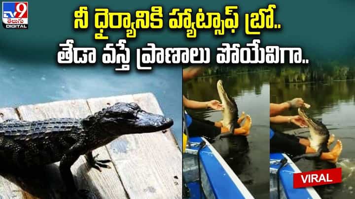 నీ ధైర్యానికి హ్యాట్సాఫ్ బ్రో.. తేడా వస్తే ప్రాణాలు పోయేవిగా !! నీ ధైర్యానికి హ్యాట్సాఫ్ బ్రో.. తేడా వస్తే ప్రాణాలు పోయేవిగా !!