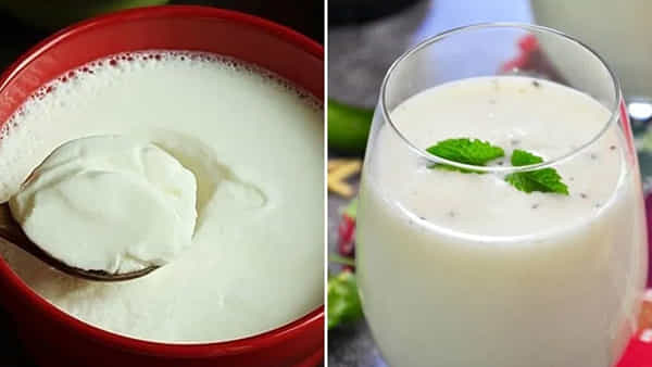 Curd vs Buttermilk: పెరుగు లేదా మజ్జిగ.. ఈ రెండిట్లో ఏది ఆరోగ్యానికి ఉత్తమం? నిపుణుల సలహా ఏంటంటే?