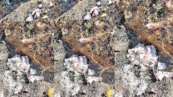 Andhra: చేను పక్కన కంపలకు నిప్పు పెట్టిన రైతు.. రహస్యంగా దాచిన డబ్బు హాంఫట్