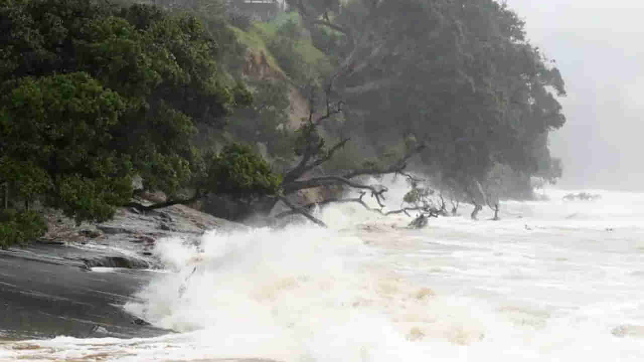 Cyclone Gabrielle: 9 రాష్ట్రాల్లో నేషనల్ ఎమర్జెన్సీ.. 58 వేల ఇళ్లకు నిలిచిన విద్యుత్ సరఫరా.. అగ్నిమాపక సిబ్బంది గల్లంతు