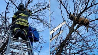 Viral Love Letter: అలిగిన ప్రియుడికి ప్రియురాలు ప్రేమ లేఖ.. నీమీద నమ్మకం ఉంది.. నువ్వు వేరే అమ్మాయితో మాట్లాడితే మాత్రం..