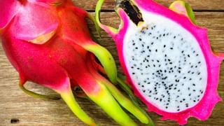 Kidney Problem: కిడ్నీల సమస్య వస్తే ఎలాంటి లక్షణాలు కనిపిస్తాయి..? సమస్య పరిష్కారం ఏమిటి..?