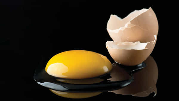EGG: గుడ్డుతో కలిపి పొరపాటున కూడా వీటిని తినకండి.. తింటే ఆరోగ్యం పూర్తిగా చెడిపోతుందట.. అవేంటో తెలుసా