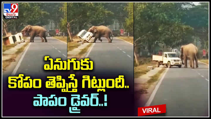 Elephant Attack: ఎందుకమ్మా అంత తొందర..? ఏనుగుకు కోపం తెప్పిస్తే గిట్లుందీ.. పాపం డ్రైవర్..! Elephant Attack: ఎందుకమ్మా అంత తొందర..? ఏనుగుకు కోపం తెప్పిస్తే గిట్లుందీ.. పాపం డ్రైవర్..!