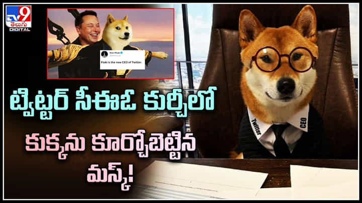 Elon Musk DOG: ట్విట్టర్ సీఈఓ కుర్చీలో కుక్కను కూర్చోబెట్టిన మస్క్..! వీడియో వైరల్.. Elon Musk DOG: ట్విట్టర్ సీఈఓ కుర్చీలో కుక్కను కూర్చోబెట్టిన మస్క్..! వీడియో వైరల్..