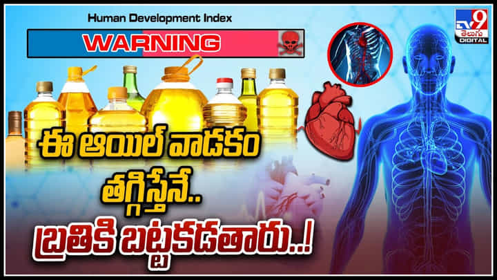 Facts about Palm Oil: ఈ ఆయిల్ వాడకం తగ్గిస్తేనే.. బ్రతికి బట్టకడతారు..! ఎందుకు ప్రమాదకరం అంటే.. Facts about Palm Oil: ఈ ఆయిల్ వాడకం తగ్గిస్తేనే.. బ్రతికి బట్టకడతారు..! ఎందుకు ప్రమాదకరం అంటే..