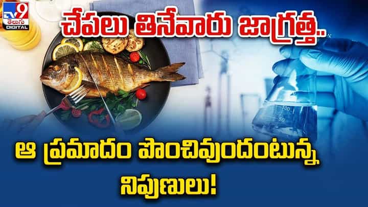 చేపలు తినేవారు జాగ్రత్త.. ఆ ప్రమాదం పొంచివుందంటున్న నిపుణులు !! చేపలు తినేవారు జాగ్రత్త.. ఆ ప్రమాదం పొంచివుందంటున్న నిపుణులు !!