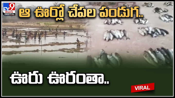 Fishing festival :ఆ ఊర్లో చేపల పండుగ.. ఊరు ఊరంతా ఒక్కసారిగా చెరువులో.. వీడియో వైరల్. Fishing festival :ఆ ఊర్లో చేపల పండుగ.. ఊరు ఊరంతా ఒక్కసారిగా చెరువులో.. వీడియో వైరల్.