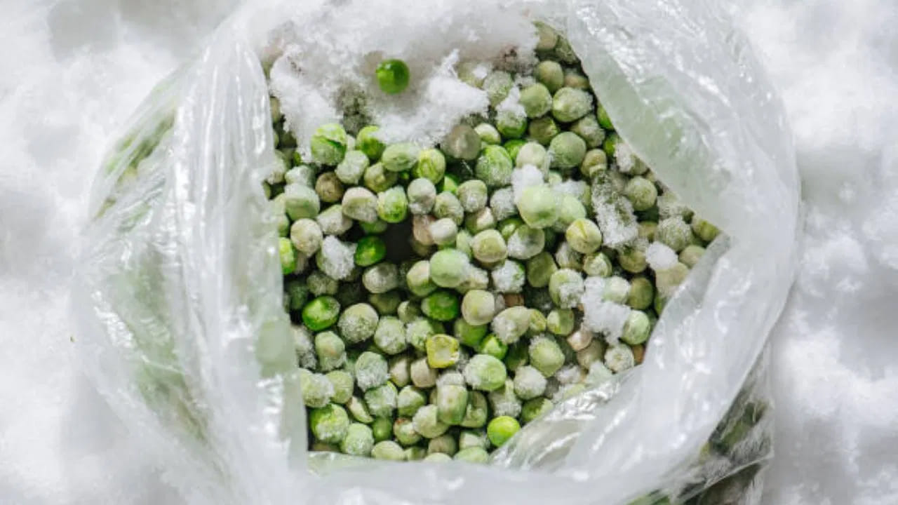 Green Peas పచ్చి బఠానీలను ఫ్రిజ్‌లో ఇలా నిల్వ చేస్తే ఏడాది పొడవునా తాజాగా ఉంటాయి.. Telugu