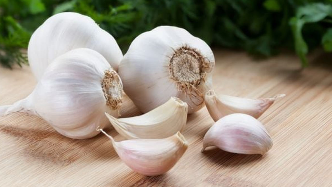 Garlic Benefits