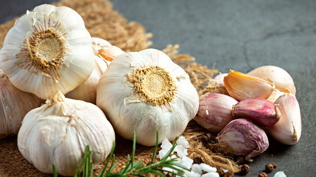 Garlic Benefits: వెల్లుల్లా మజాకా..! రోజూ పరగడుపున ఒక్క రెబ్బ తింటే ఎన్ని ప్రయోజనాలో తెలుసా..?