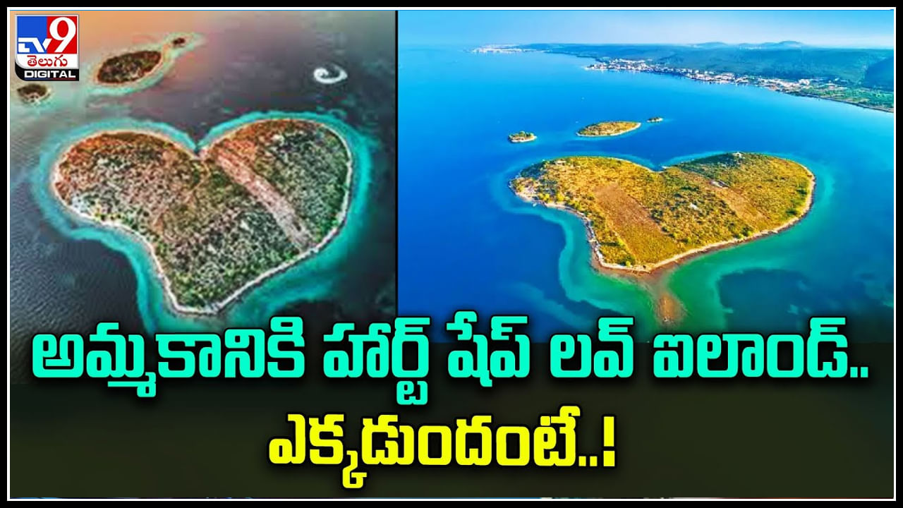 Heart Shapped Island: అమ్మకానికి హార్ట్ షేప్‌ లవ్ ఐలాండ్.. ఎందుకో తెలుసా..! వీడియో వైరల్..